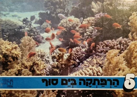עטיפת הספר סדרת צופית 5 הרפתקה בים סוף
