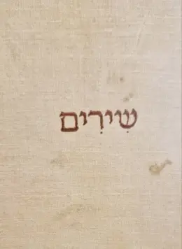 עטיפת הספר שירים-מהדורה ראשונה