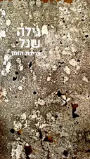עטיפת הספר גילה שנל צריבת הזמן