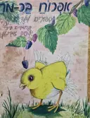עטיפת הספר אפרוח בר מח