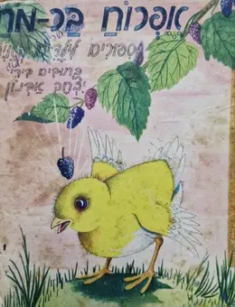 עטיפת הספר אפרוח בר מח