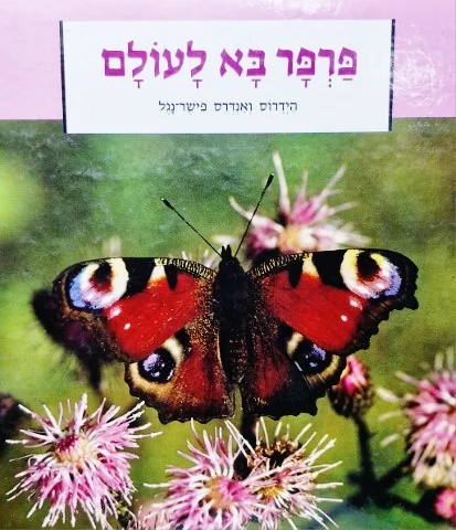 עטיפת הספר פרפר בא לעולם