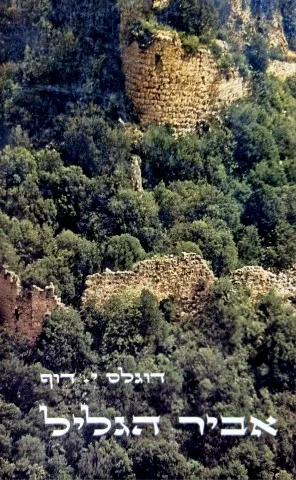 עטיפת הספר אביר הגליל
