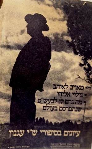 עטיפת הספר עיונים בסיפורי שי עגנון