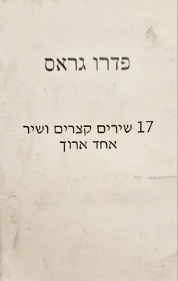 עטיפת הספר 17 שירים קצרים ושיר אחד ארוך