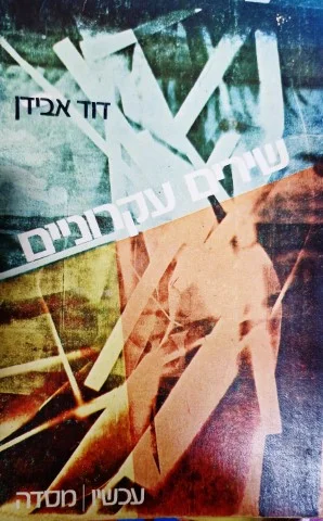עטיפת הספר שירים עקרוניים