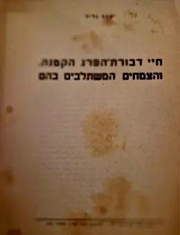 עטיפת הספר חיי דבורת הפרג הקטנה והצמחים המשתלבים בהם