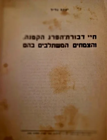 עטיפת הספר חיי דבורת הפרג הקטנה והצמחים המשתלבים בהם