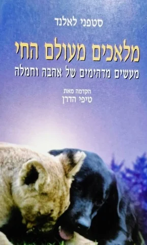 עטיפת הספר מלאכים מעולם החי