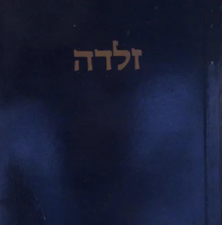 עטיפת הספר שירים