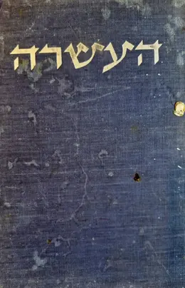 עטיפת הספר העשרה חייהם ומותם של עשרת חללי המסוק שנפלו בסיני ביום טו בתמוז תשלא