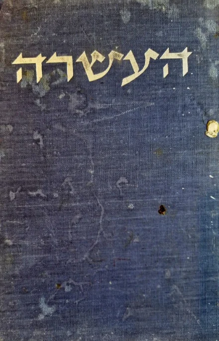 עטיפת הספר העשרה חייהם ומותם של עשרת חללי המסוק שנפלו בסיני ביום טו בתמוז תשלא