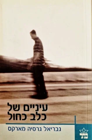 עטיפת הספר עיניים של כלב כחול