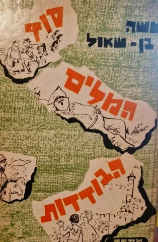 עטיפת הספר סוד המלים הבודדות