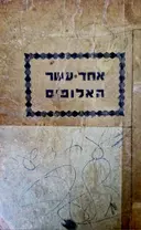 עטיפת הספר אחד עשר האלופים