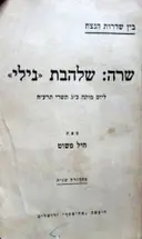 עטיפת הספר שרה שלהבת נילי