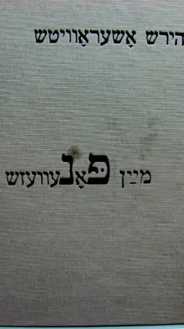 עטיפת הספר מיין פאנעוועזש פוניבז שלי