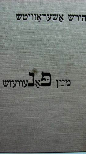 עטיפת הספר מיין פאנעוועזש פוניבז שלי