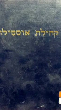עטיפת הספר קהילת אוסטילה בבנינה ובחורבנה