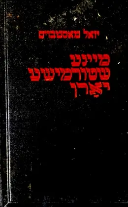 עטיפת הספר מיינע שטורמישע יארן 1 שמחה גלעזער-חתום