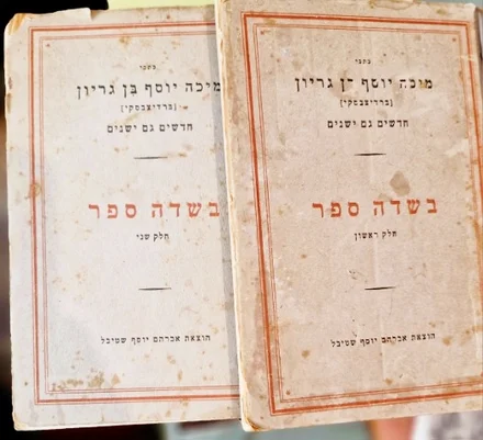 עטיפת הספר כתבי מיכה יוסף בן גריון חדשים וגם ישנים בשדה ספר דברי ספרות שירה ולשון - 2 כרכים
