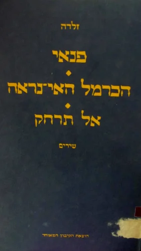 עטיפת הספר פנאי הכרמל האי נראה אל תרחק