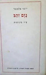 עטיפת הספר נזם זהב