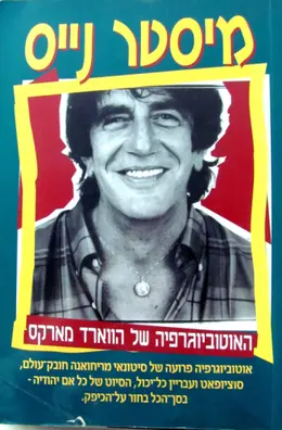 עטיפת הספר מיסטר נייס