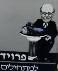 עטיפת הספר פרויד למתחילים