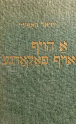 עטיפת הספר מיינע ווארשעווער הייף א הויף אויף פאקארנע שטייגער ראמאן צווייטער טייל