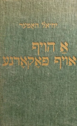 עטיפת הספר מיינע ווארשעווער הייף א הויף אויף פאקארנע שטייגער ראמאן צווייטער טייל
