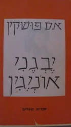 עטיפת הספר יבגני אוניגין