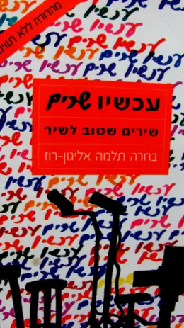 עטיפת הספר עכשיו שרים