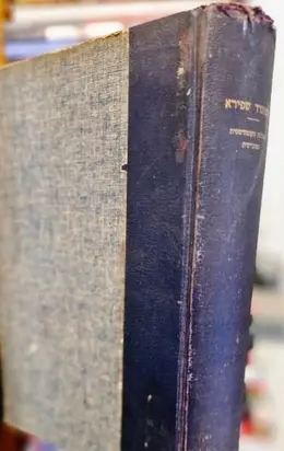 עטיפת הספר המפלגה הקומוניסטית הסובייטית