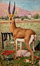 עטיפת הספר ידען מעריב תשכח שנה שלוש עשרה מהדורה חגיגית לשנת העשרים למדינת ישראל