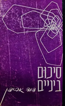 עטיפת הספר סיכום ביניים