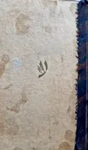 עטיפת הספר הזקן והים