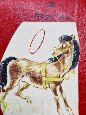 עטיפת הספר סוס הקסם