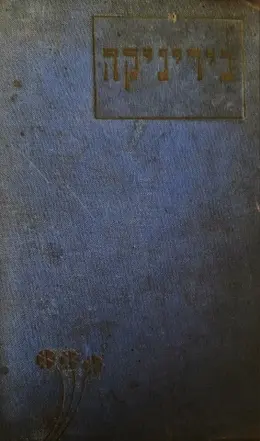 עטיפת הספר ביריניקה
