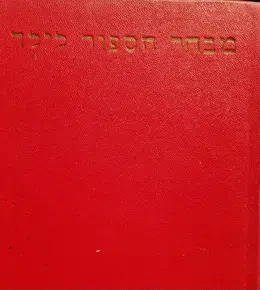 עטיפת הספר מבחר הספור לילד