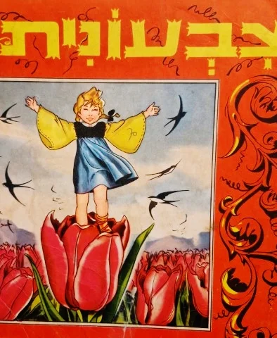 עטיפת הספר צבעונית