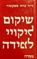עטיפת הספר שיקום ליקויי למידה