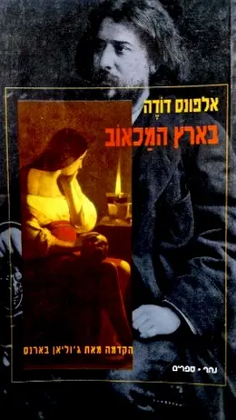 עטיפת הספר בארץ המכאוב