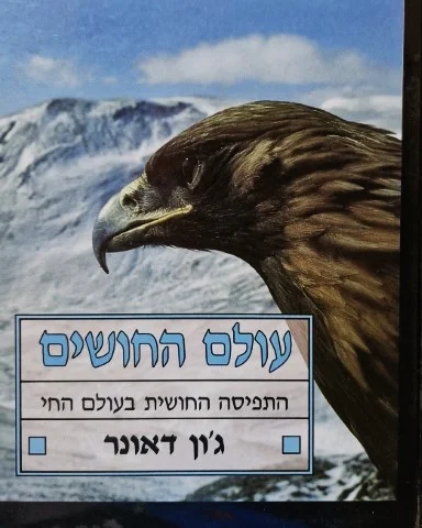 עטיפת הספר עולם החושים